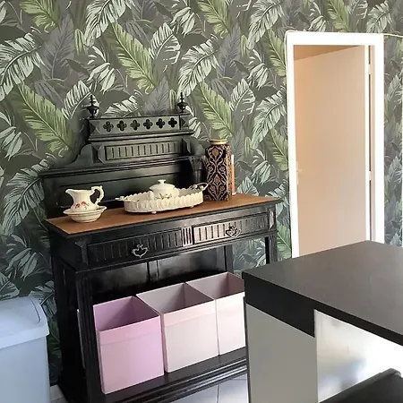 Magnolias'home